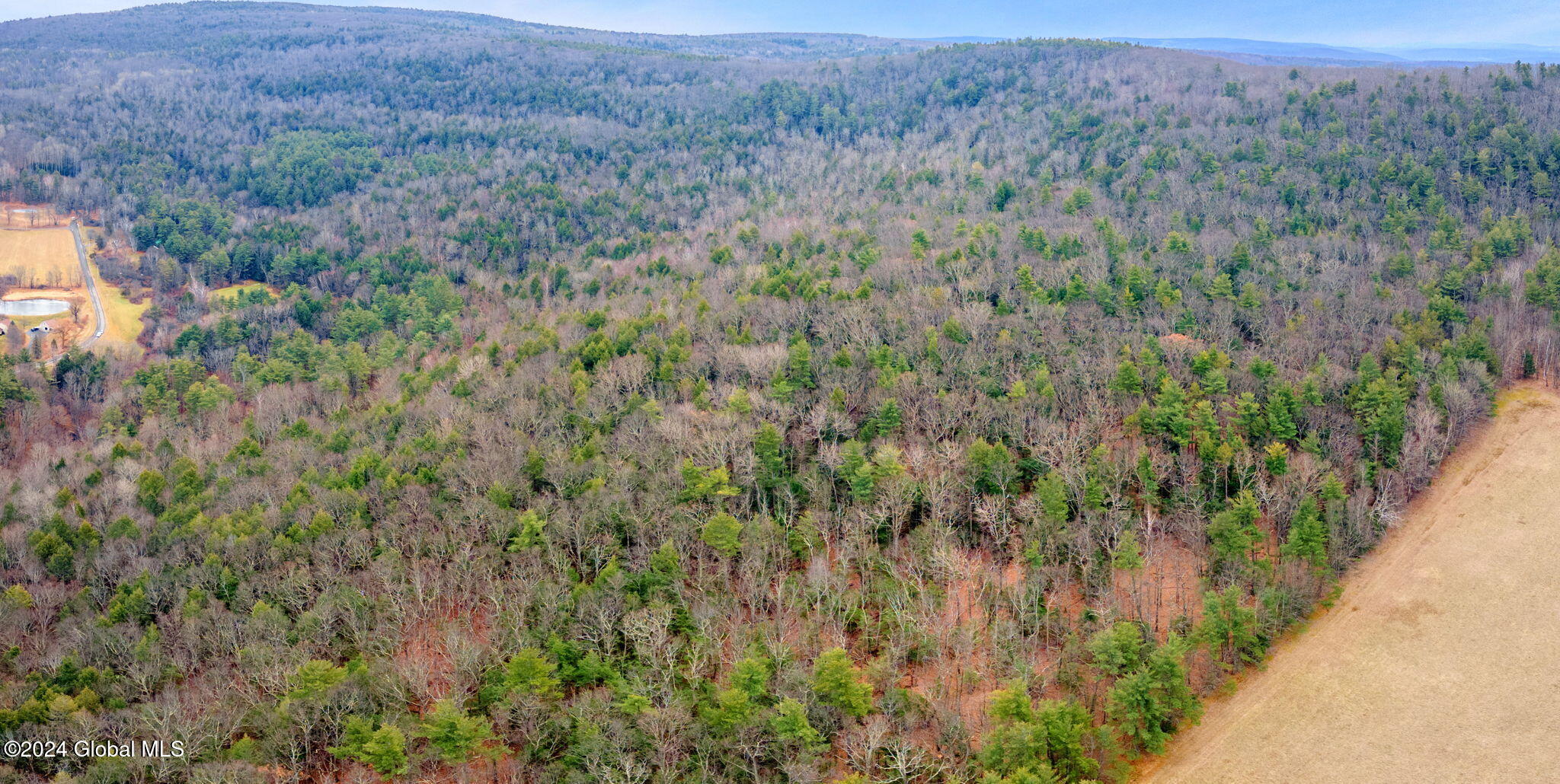 L18.1 L18.1 Engle Road Schoharie, NY 12157 - Photo 10 of 14 1-00RalphEngleRd_01