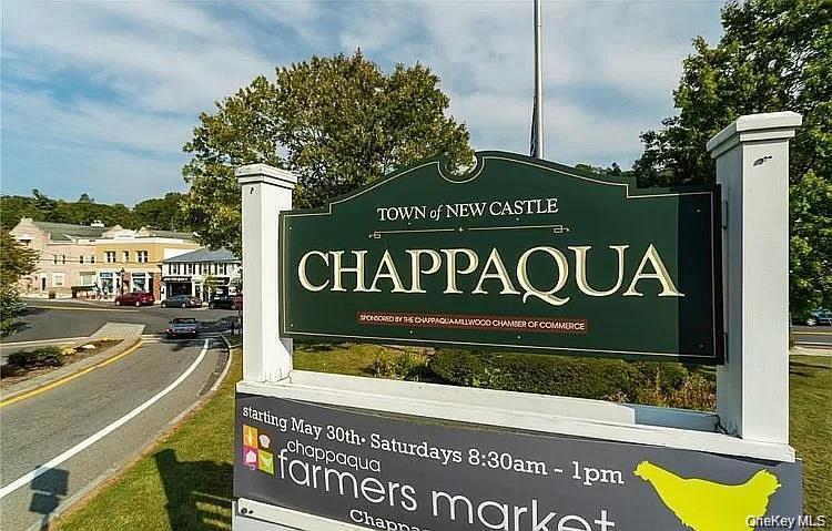249 Mill River Road Chappaqua, NY 10514 - Photo 28 of 33