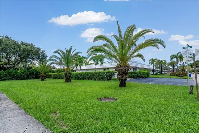 a view of a garden with a palm trees