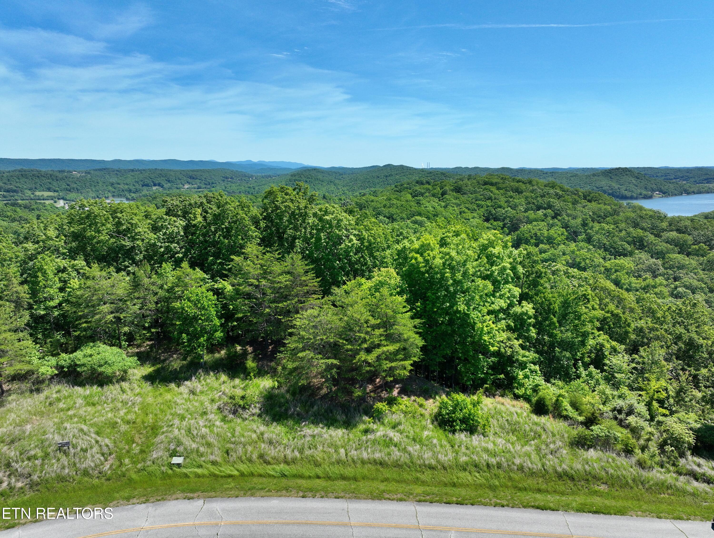 0 Flint Ridge Road Rockwood, TN 37854 - Photo 7 of 37 DJI_0595