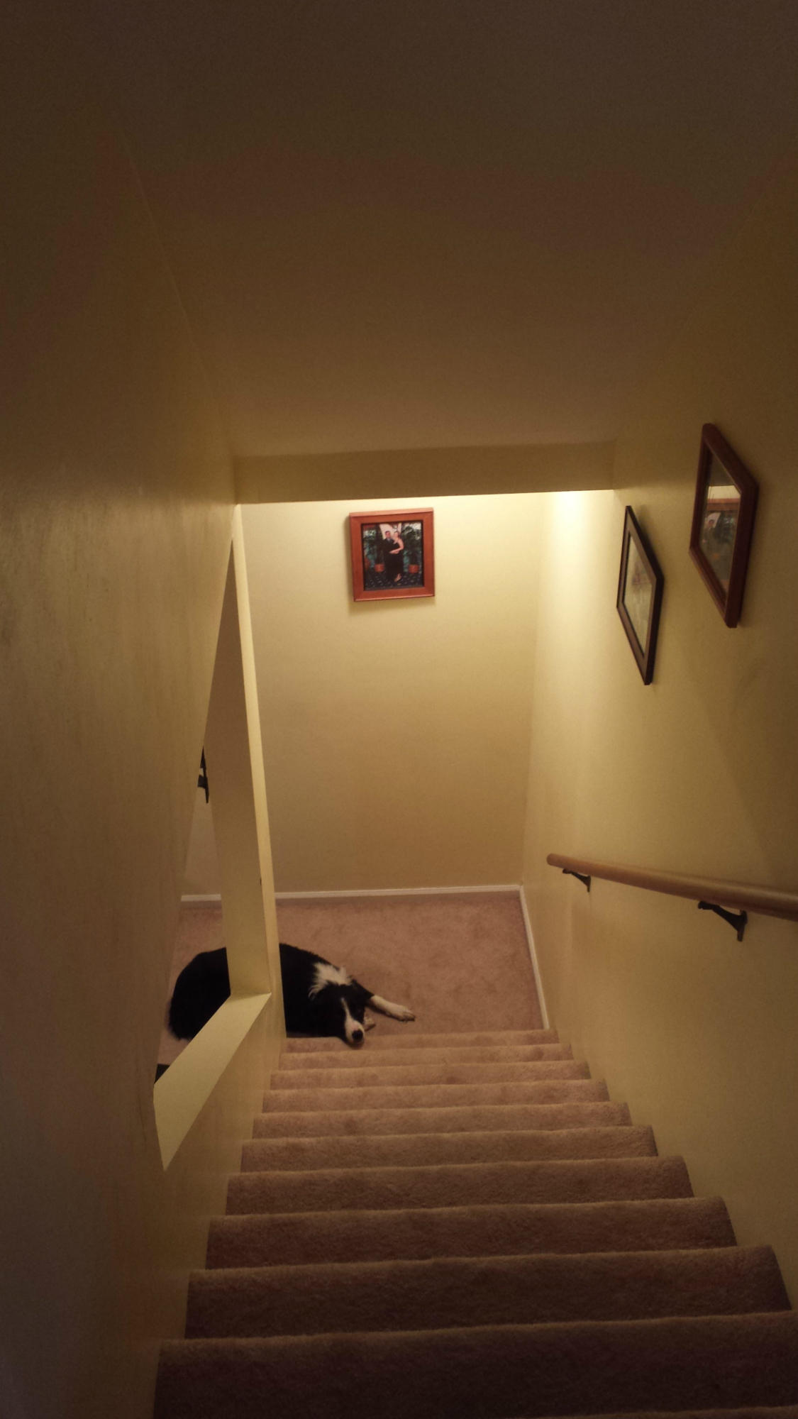 5139 Britaney Road Roanoke, VA 24012 - Photo 34 of 62 Main Level to Lower Level