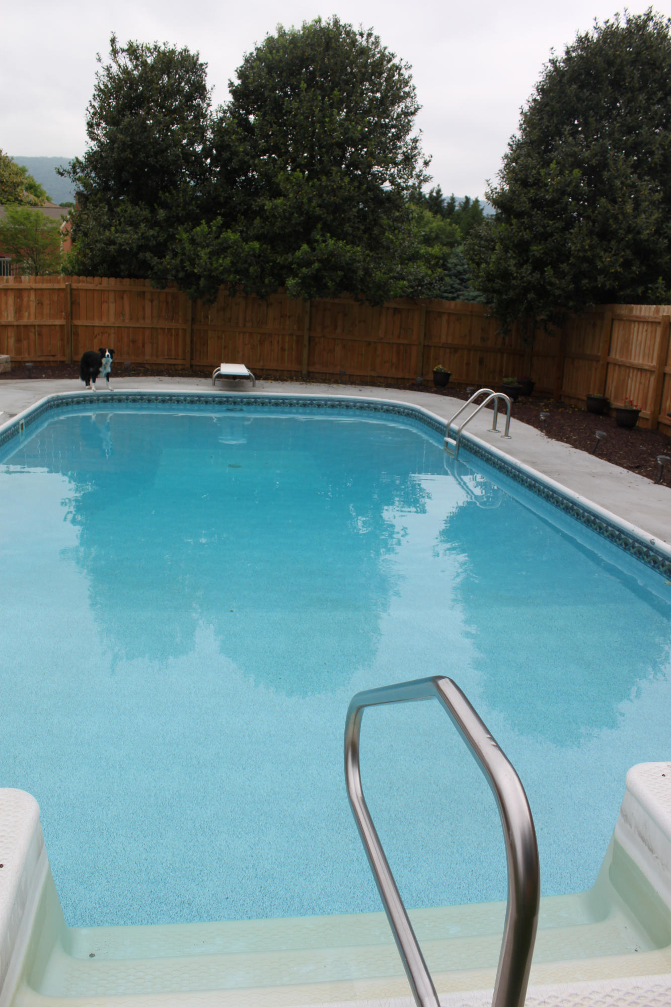 5139 Britaney Road Roanoke, VA 24012 - Photo 55 of 62 Pool Uncovered