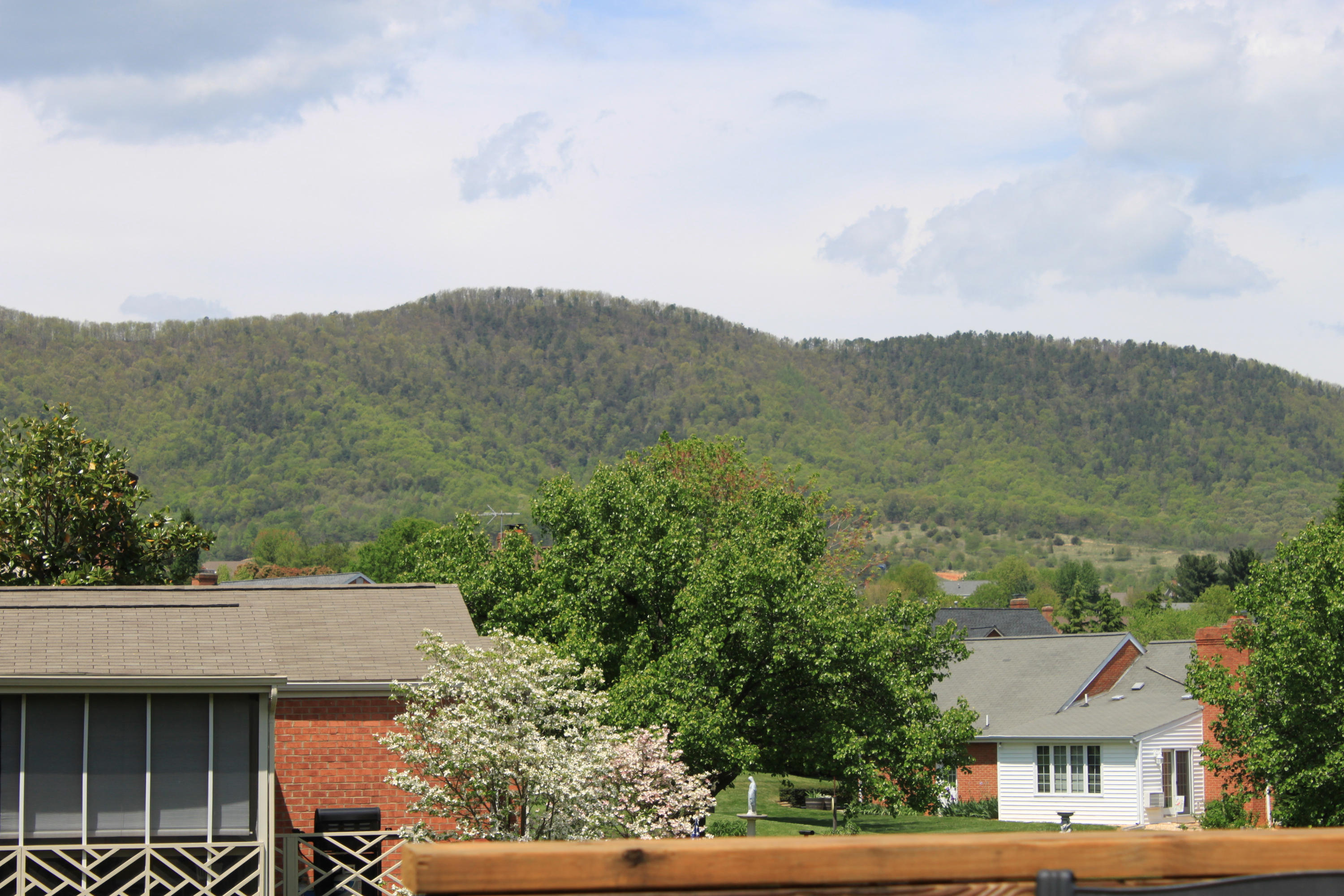 5139 Britaney Road Roanoke, VA 24012 - Photo 60 of 62 View From the Deck