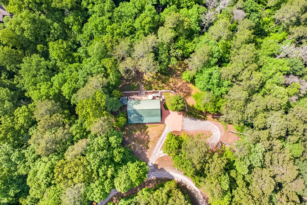 285 Julep Circle Ellijay, GA 30540 - Photo 51 of 56