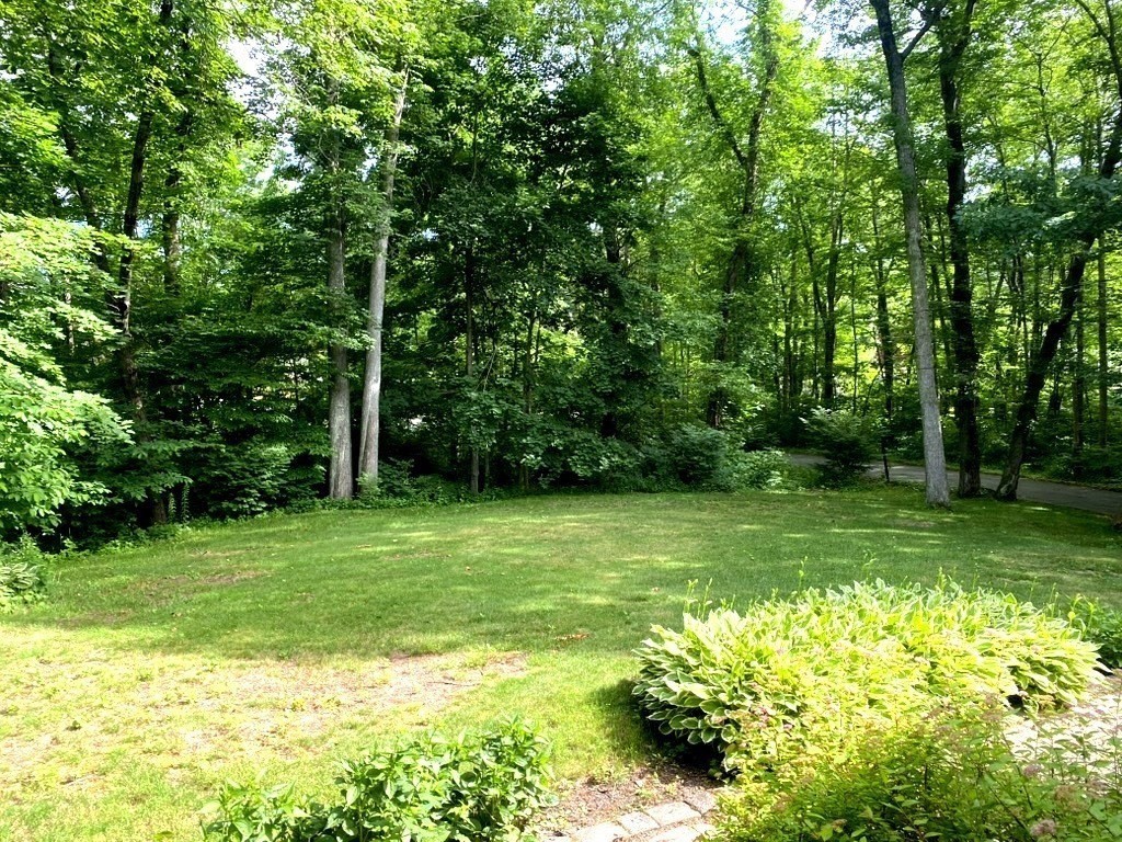 10 Warwick Road Walpole, MA 02071 - Photo 8 of 28