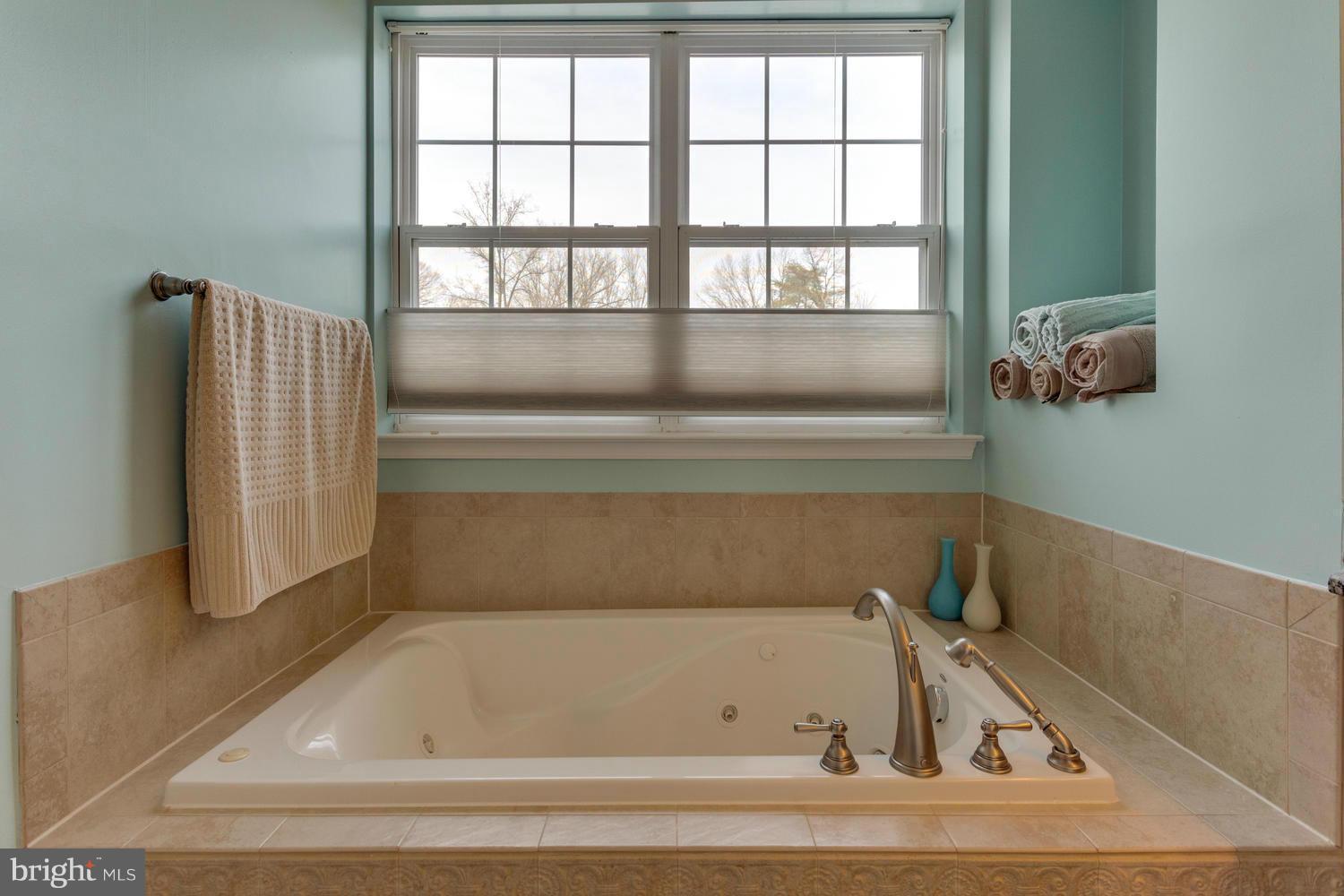 12430 Liberty Bridge Road, Unit B Fairfax, VA 22033 - Photo 18 of 30 Master bath jacuzzi tub