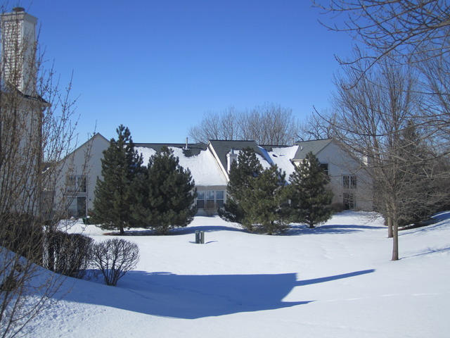 10 Edgebrook Court, Unit 10 Algonquin, IL 60102 - Photo 18 of 20