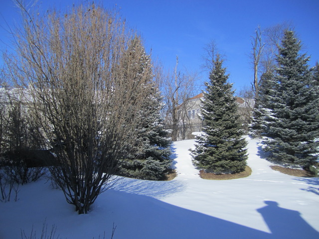 10 Edgebrook Court, Unit 10 Algonquin, IL 60102 - Photo 20 of 20
