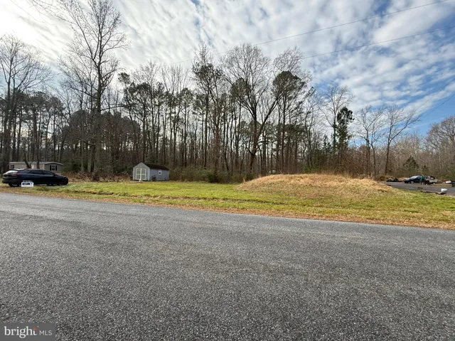 a view of outdoor space with trees