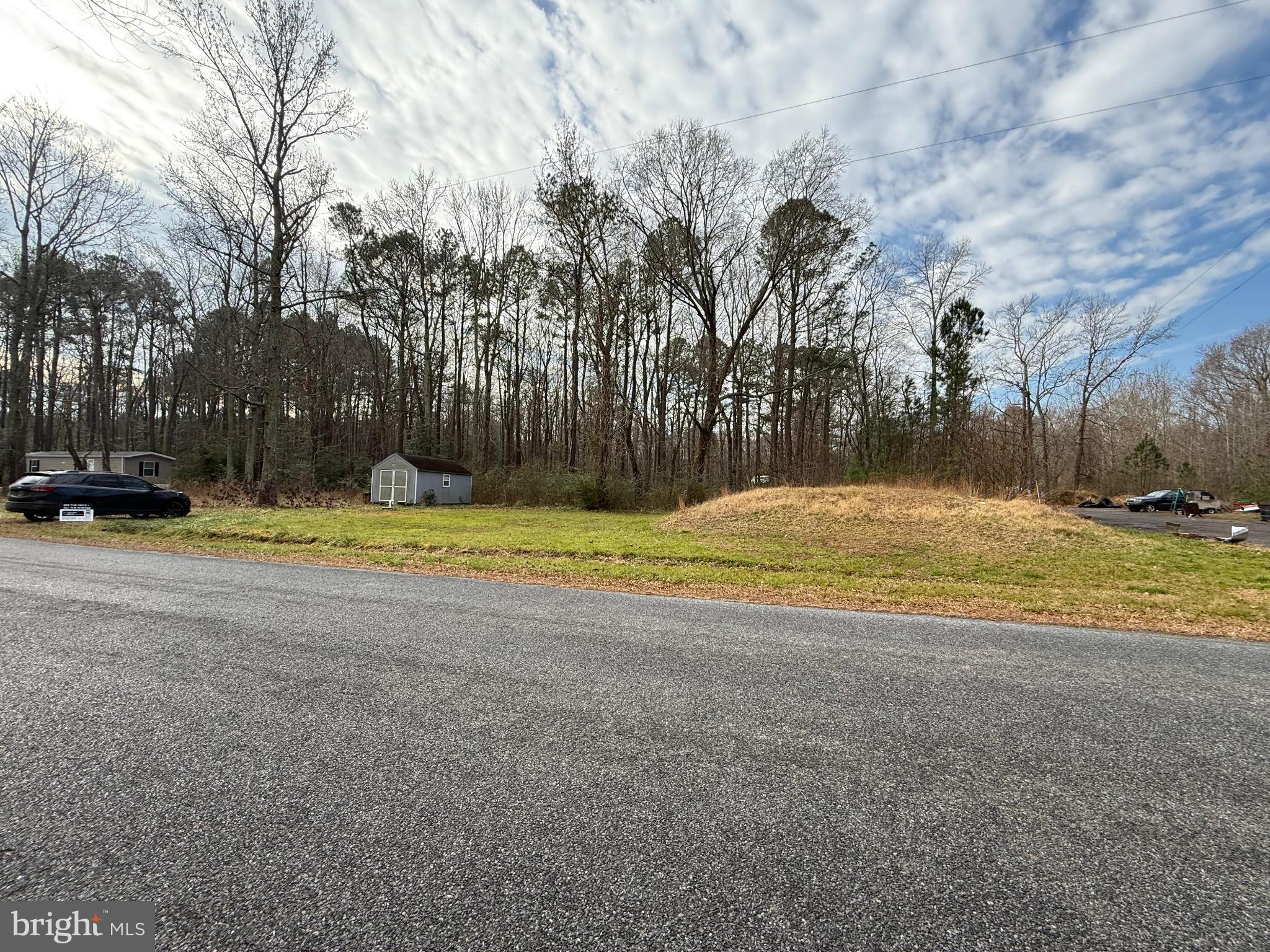 16372 Sam Lucas Road Milton, DE 19968 - Photo 2 of 3 a view of outdoor space with trees