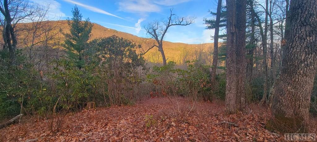 Lot 22 Sapphire Ridge Road Sapphire, NC 28774 - Photo 2 of 9 Gallery Image 2