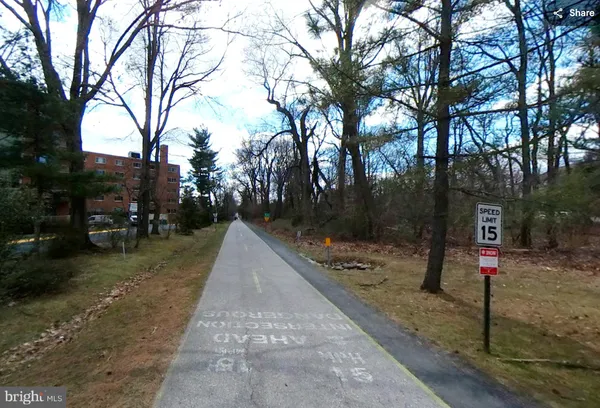 a street view with large trees