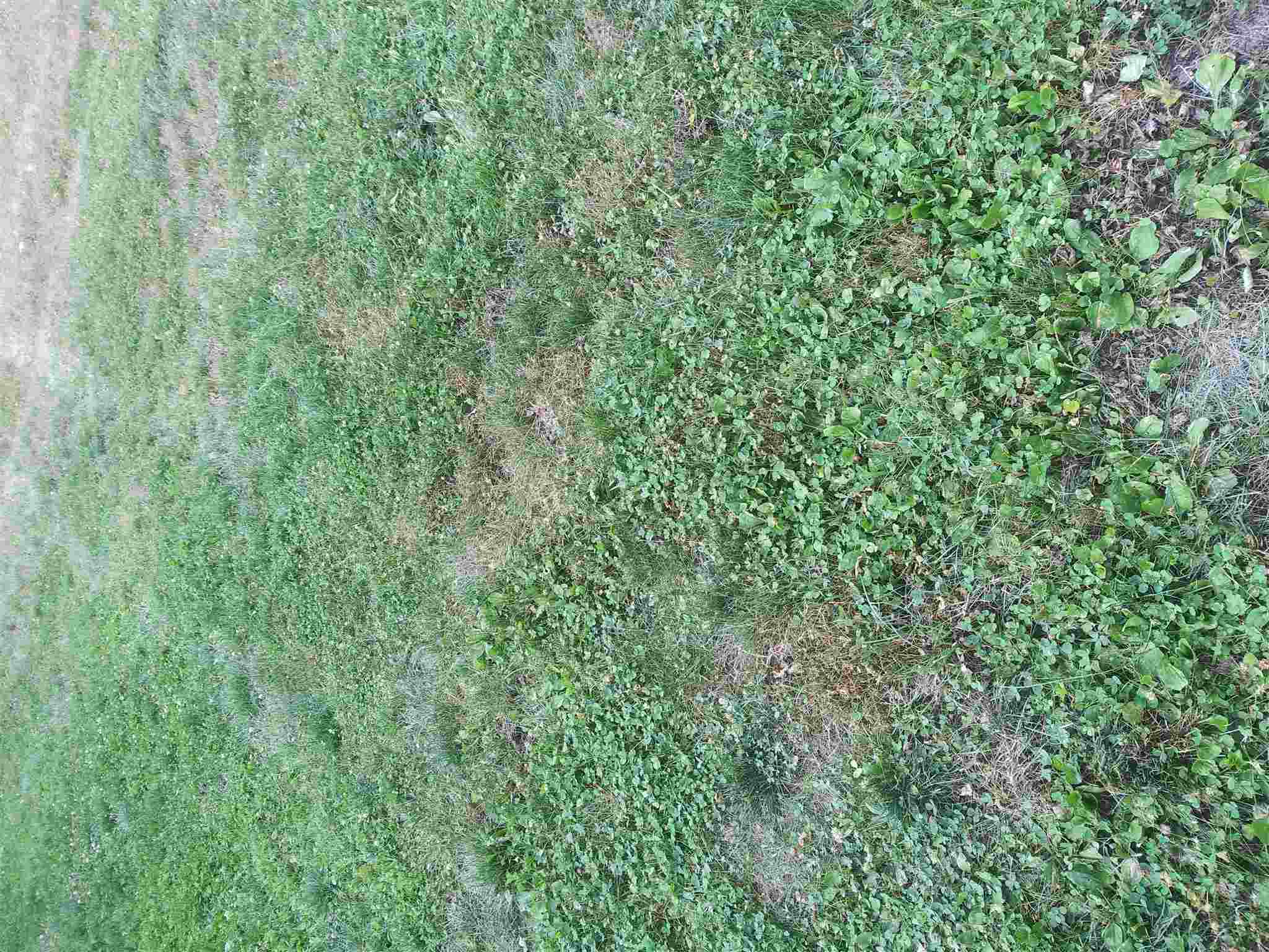 Lot 141 Pine Street Rochester, IN 46975 - Photo 1 of 1