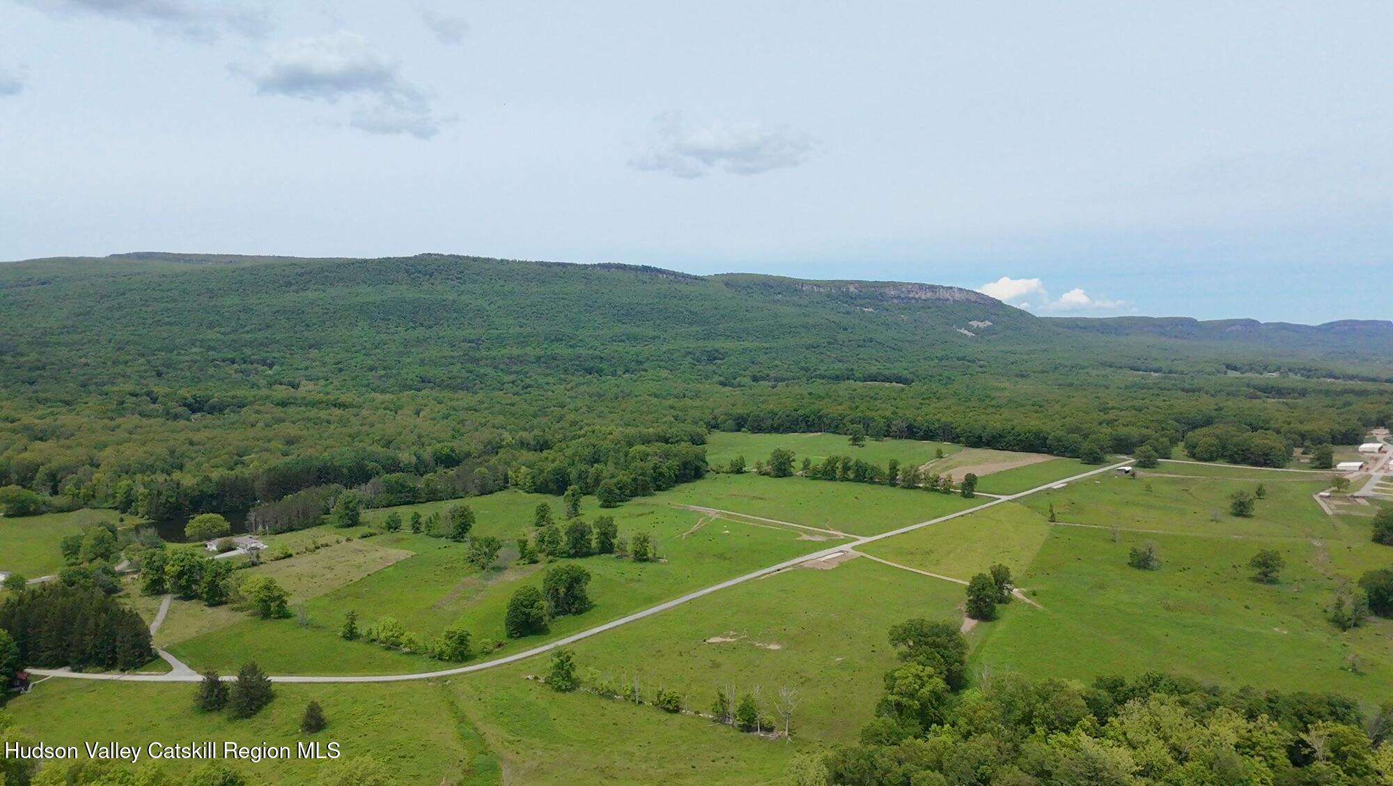 Tbd Tillson Lake Road Wallkill, NY 12589 - Photo 9 of 13 a view of a lush green hillside and a houses