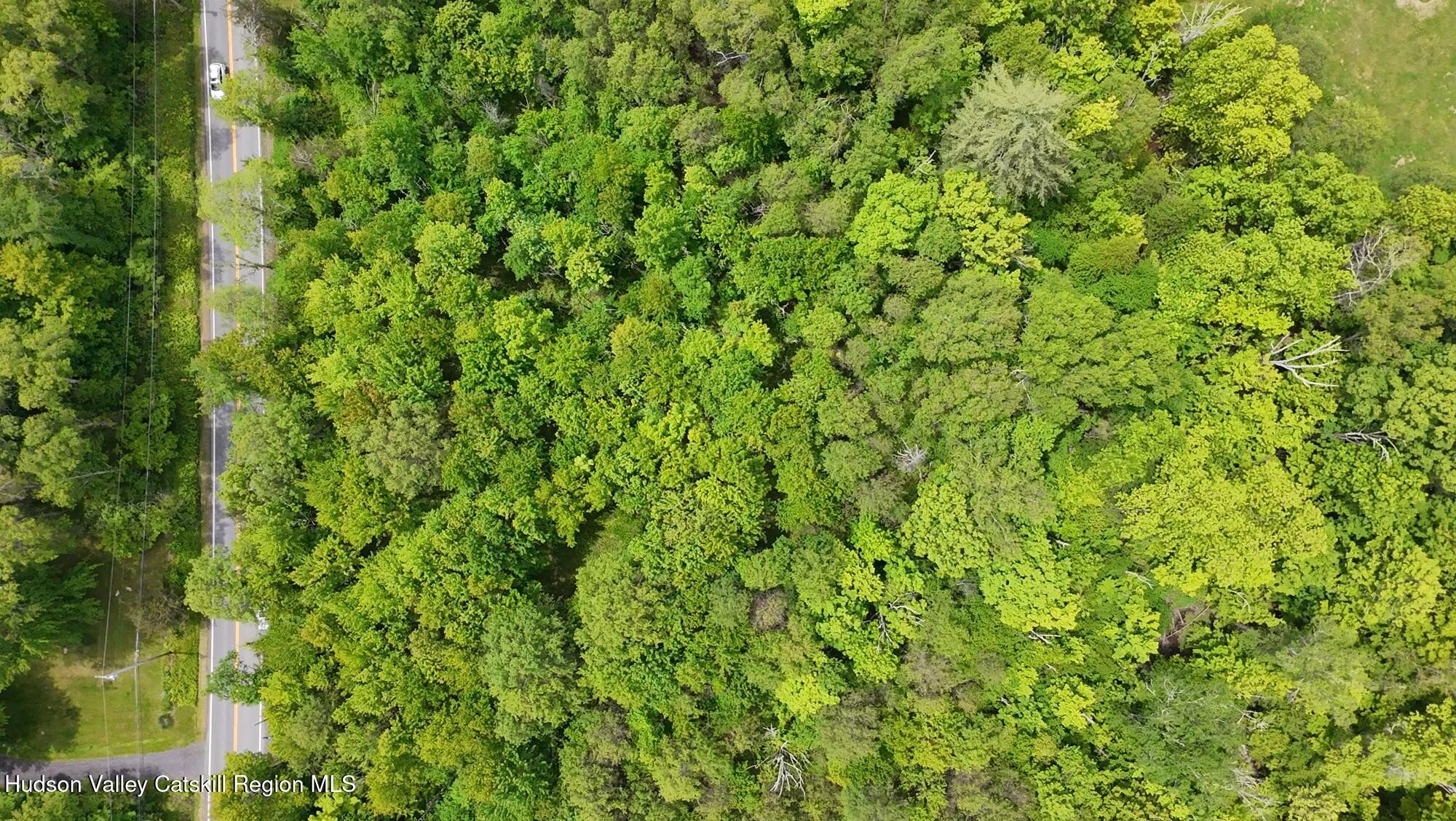Tbd Tillson Lake Road Wallkill, NY 12589 - Photo 10 of 13 a view of a lush green space