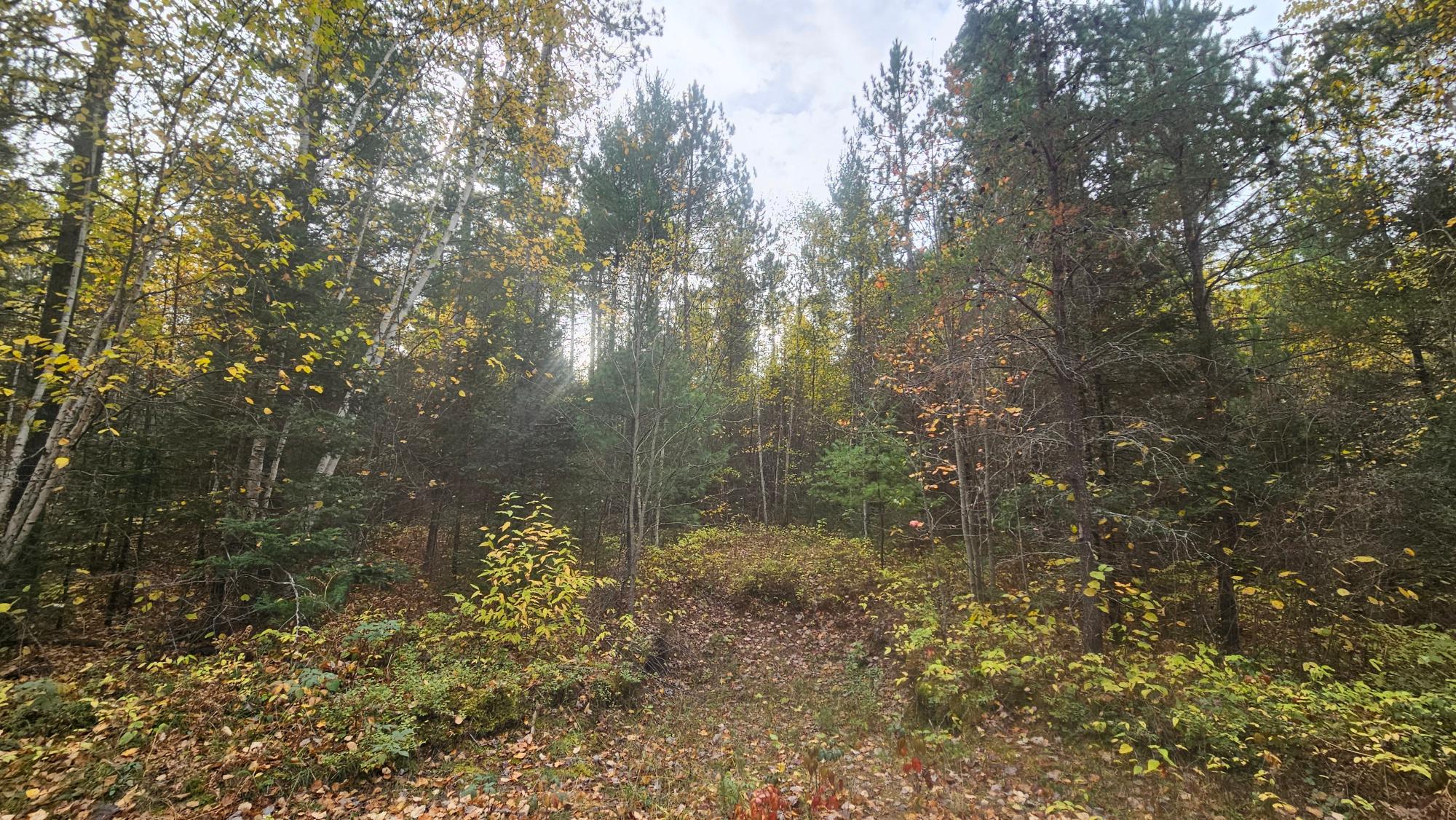 3793 Kentuck Lake Road Phelps, WI 54554 - Photo 8 of 10 Gallery Image 8