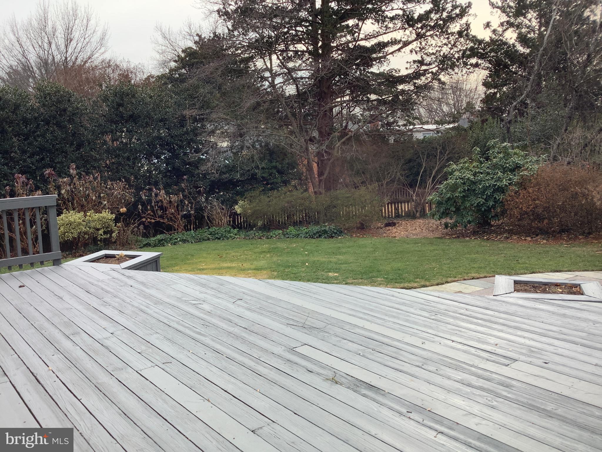5702 Ogden Road Bethesda, MD 20816 - Photo 4 of 23 a view of a swimming pool with a yard