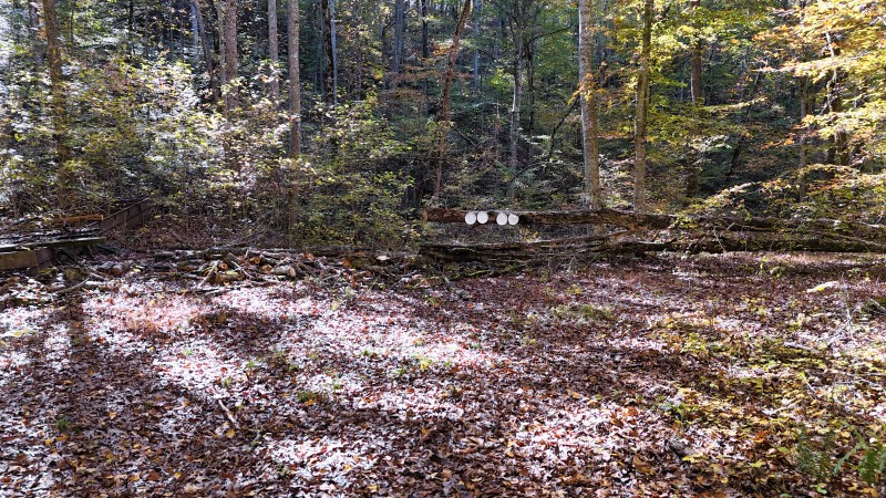 0 Kilburn Hollow Road Waynesboro, TN 38485 - Photo 15 of 27 a view of a large tree