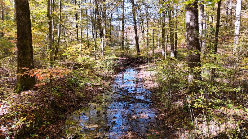 0 Kilburn Hollow Road Waynesboro, TN 38485 - Photo 16 of 27 a view of houses with yard