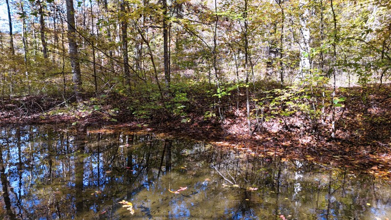 0 Kilburn Hollow Road Waynesboro, TN 38485 - Photo 22 of 27 a view of a tree