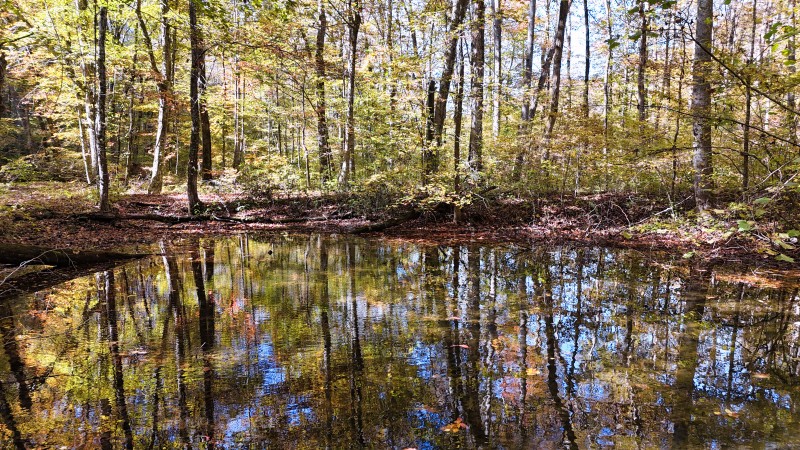 0 Kilburn Hollow Road Waynesboro, TN 38485 - Photo 23 of 27 a view of lake