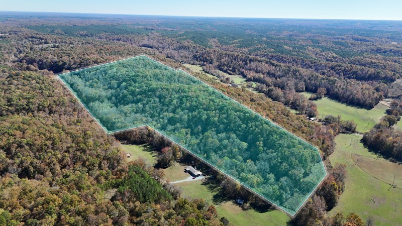 0 Kilburn Hollow Road Waynesboro, TN 38485 - Photo 5 of 27 a view of a lush green hillside and a mountain