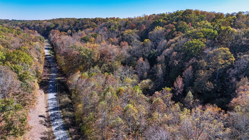 0 Kilburn Hollow Road Waynesboro, TN 38485 - Photo 9 of 27 a view of a forest with a tree in a field
