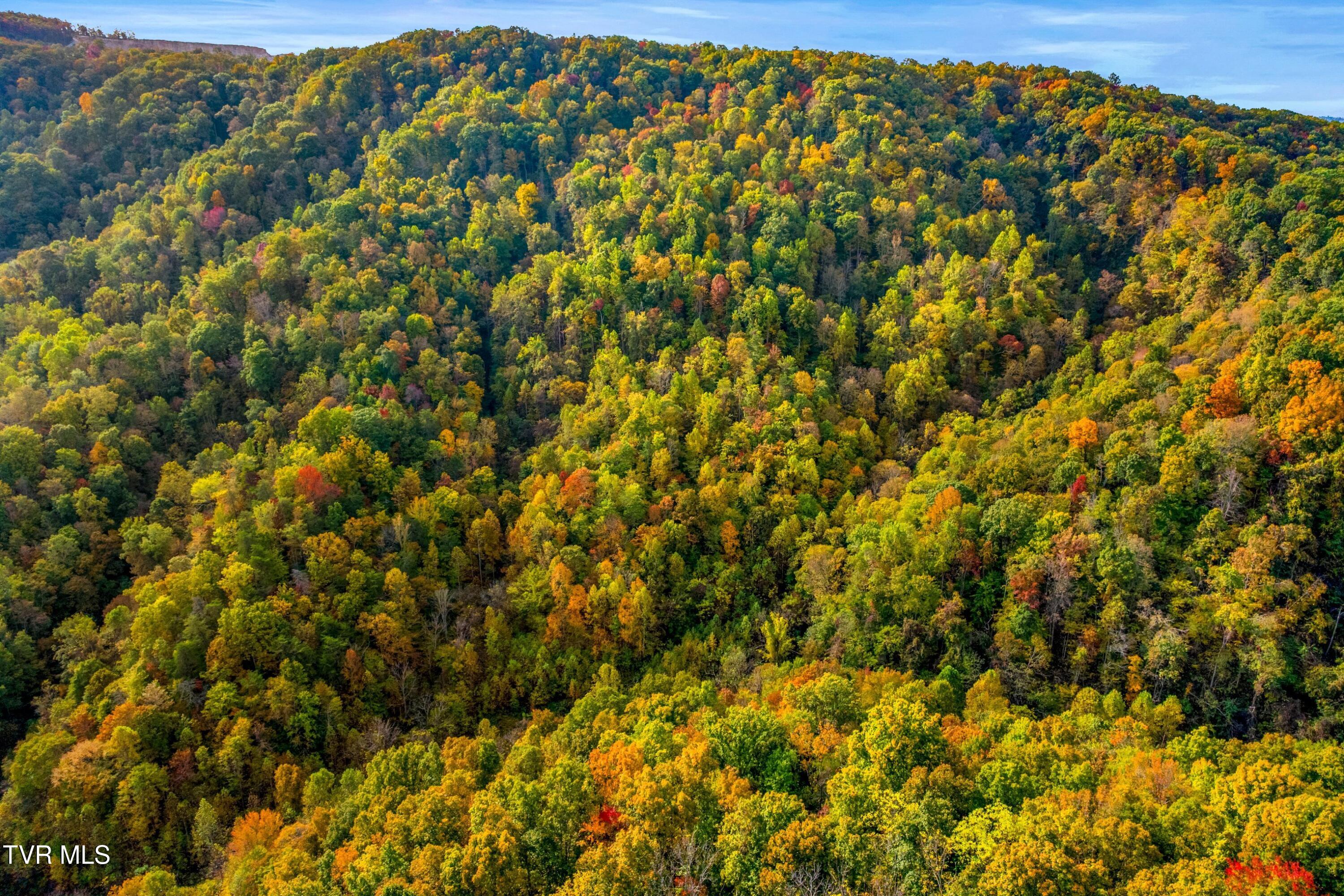 0 Cloud Creek Road Rogersville, TN 37857 - Photo 11 of 18 007-CloudCreekRoad-Rogersville-TN-37857-