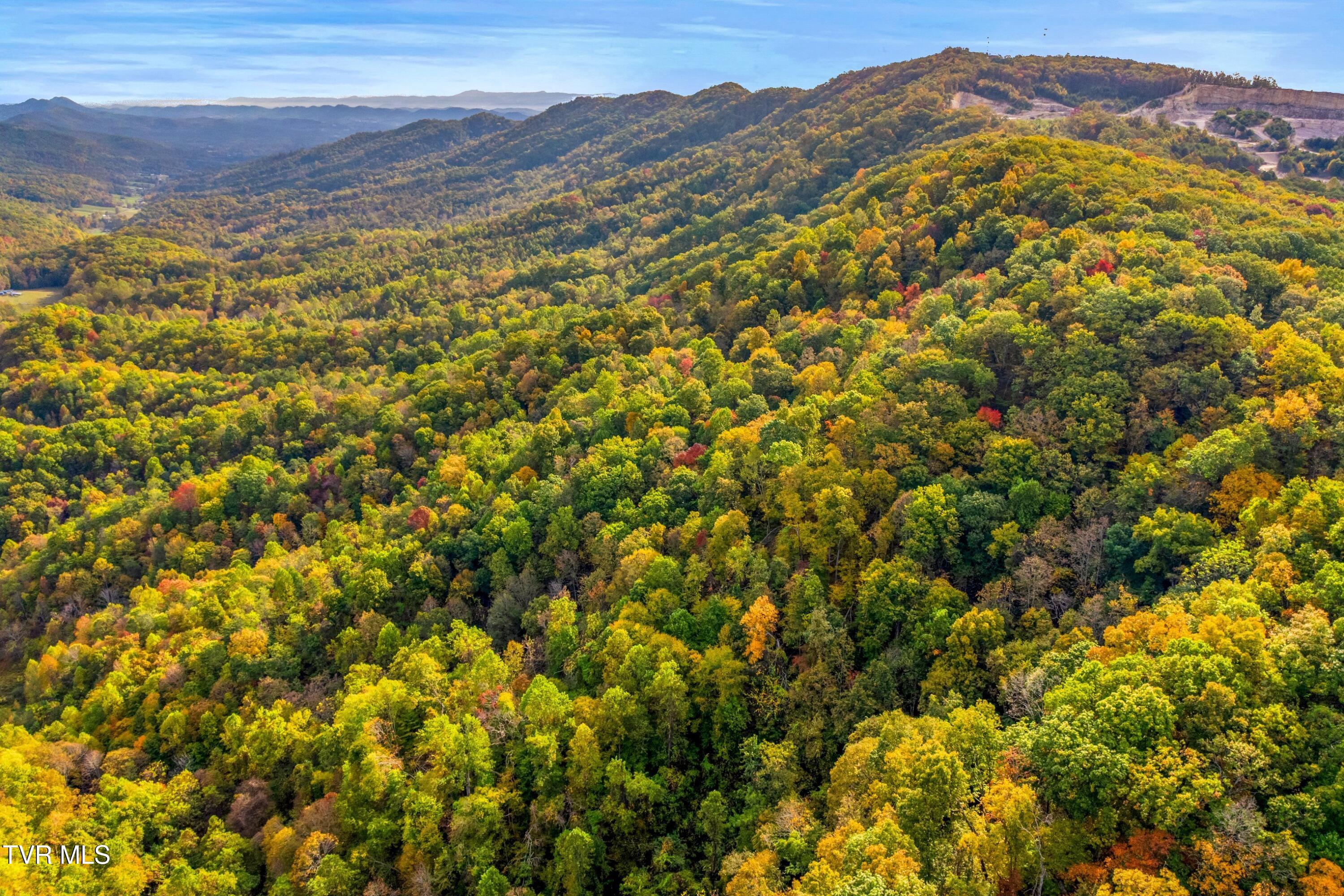 0 Cloud Creek Road Rogersville, TN 37857 - Photo 13 of 18 009-CloudCreekRoad-Rogersville-TN-37857-