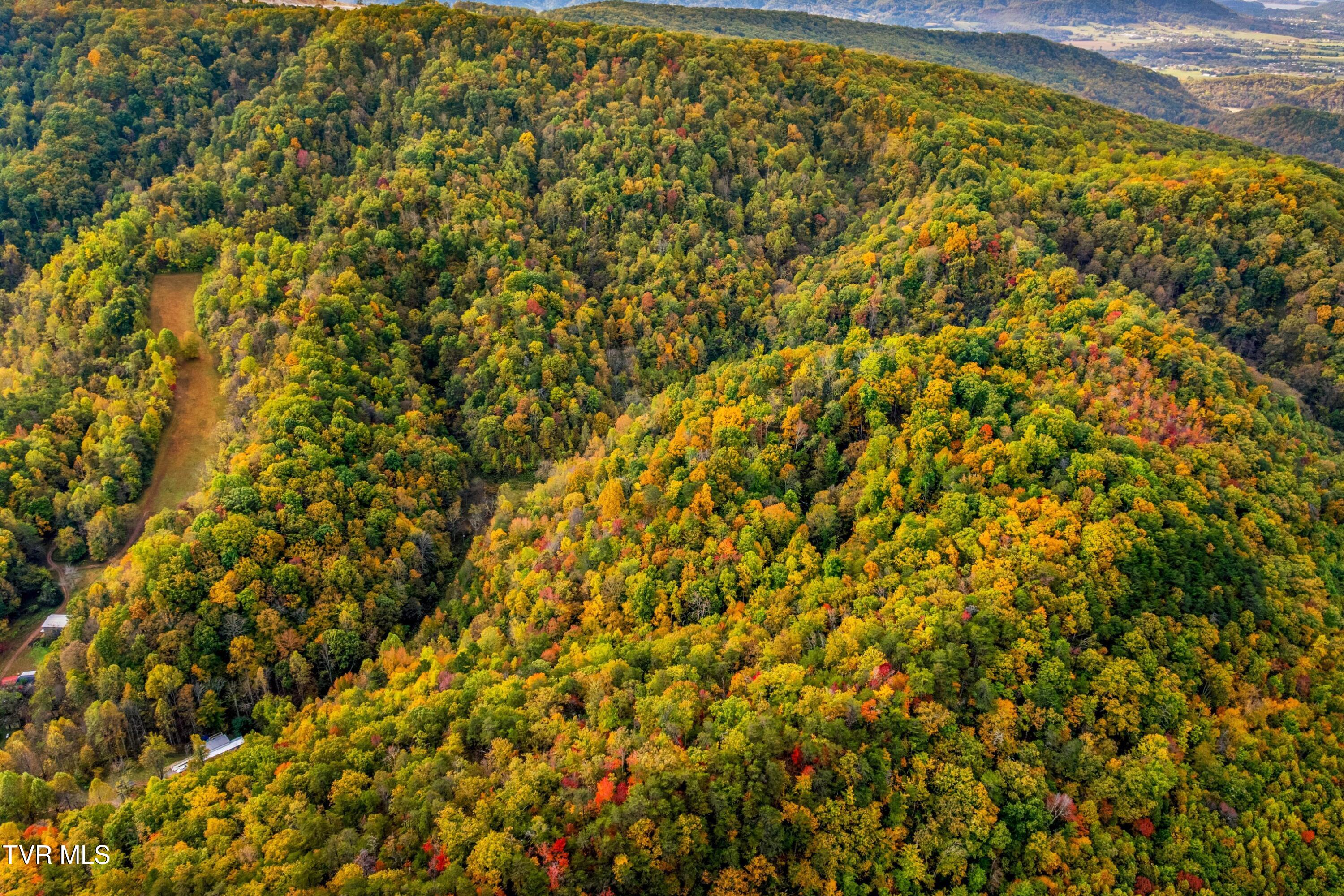 0 Cloud Creek Road Rogersville, TN 37857 - Photo 14 of 18 010-CloudCreekRoad-Rogersville-TN-37857-