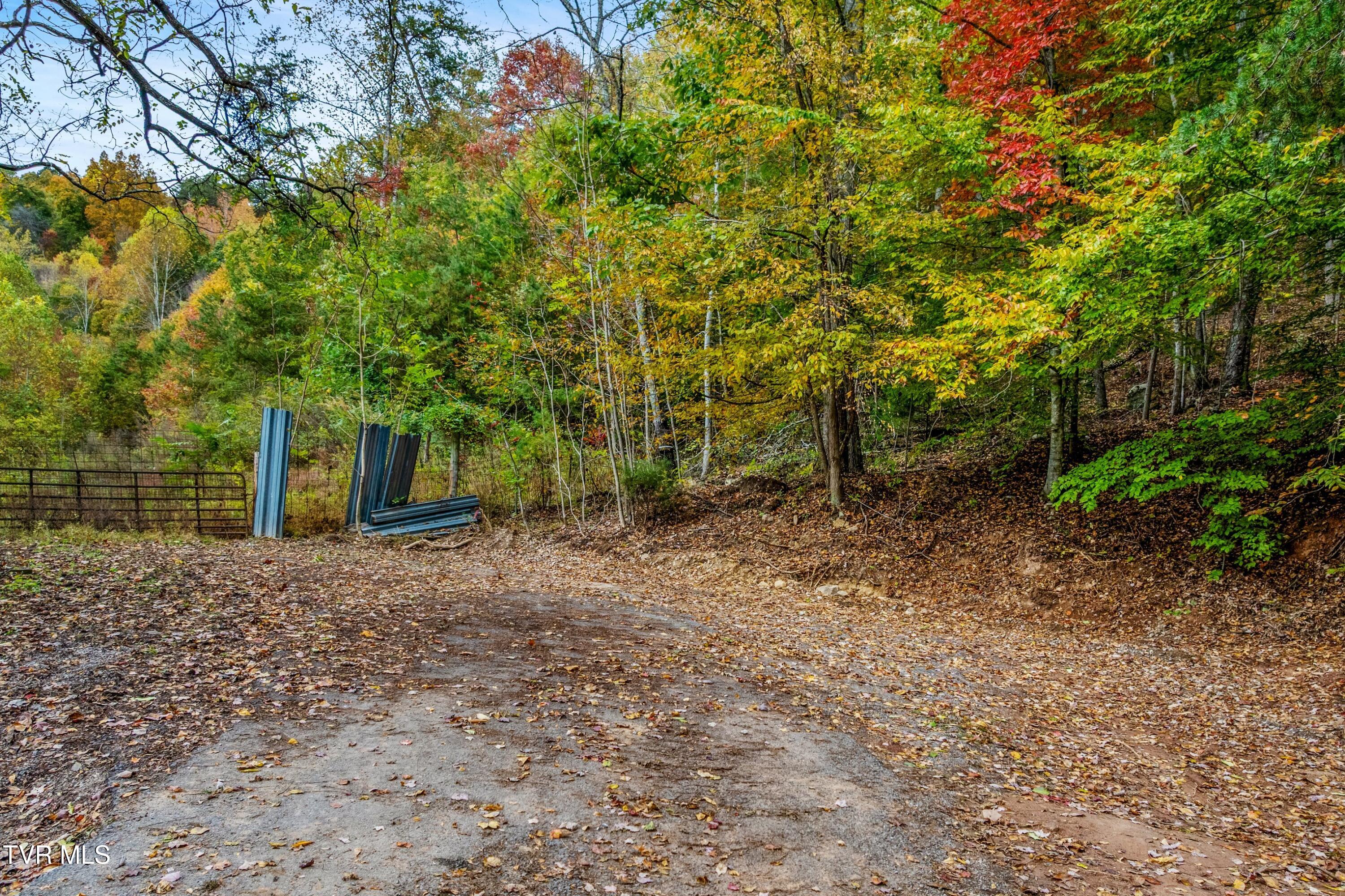 0 Cloud Creek Road Rogersville, TN 37857 - Photo 3 of 18 002-CloudCreekRoad-Rogersville-TN-37857-