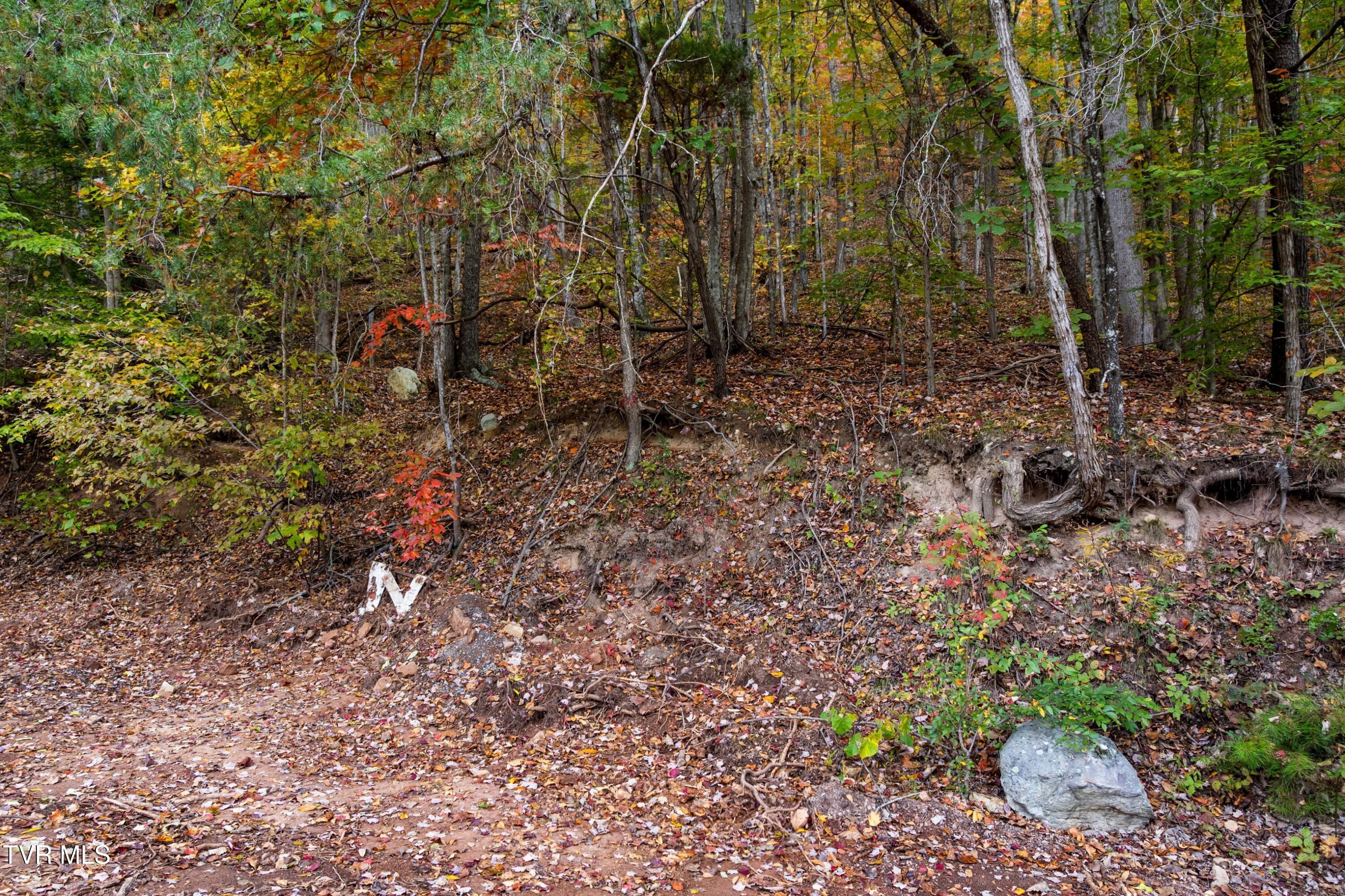 0 Cloud Creek Road Rogersville, TN 37857 - Photo 4 of 18 003-CloudCreekRoad-Rogersville-TN-37857-