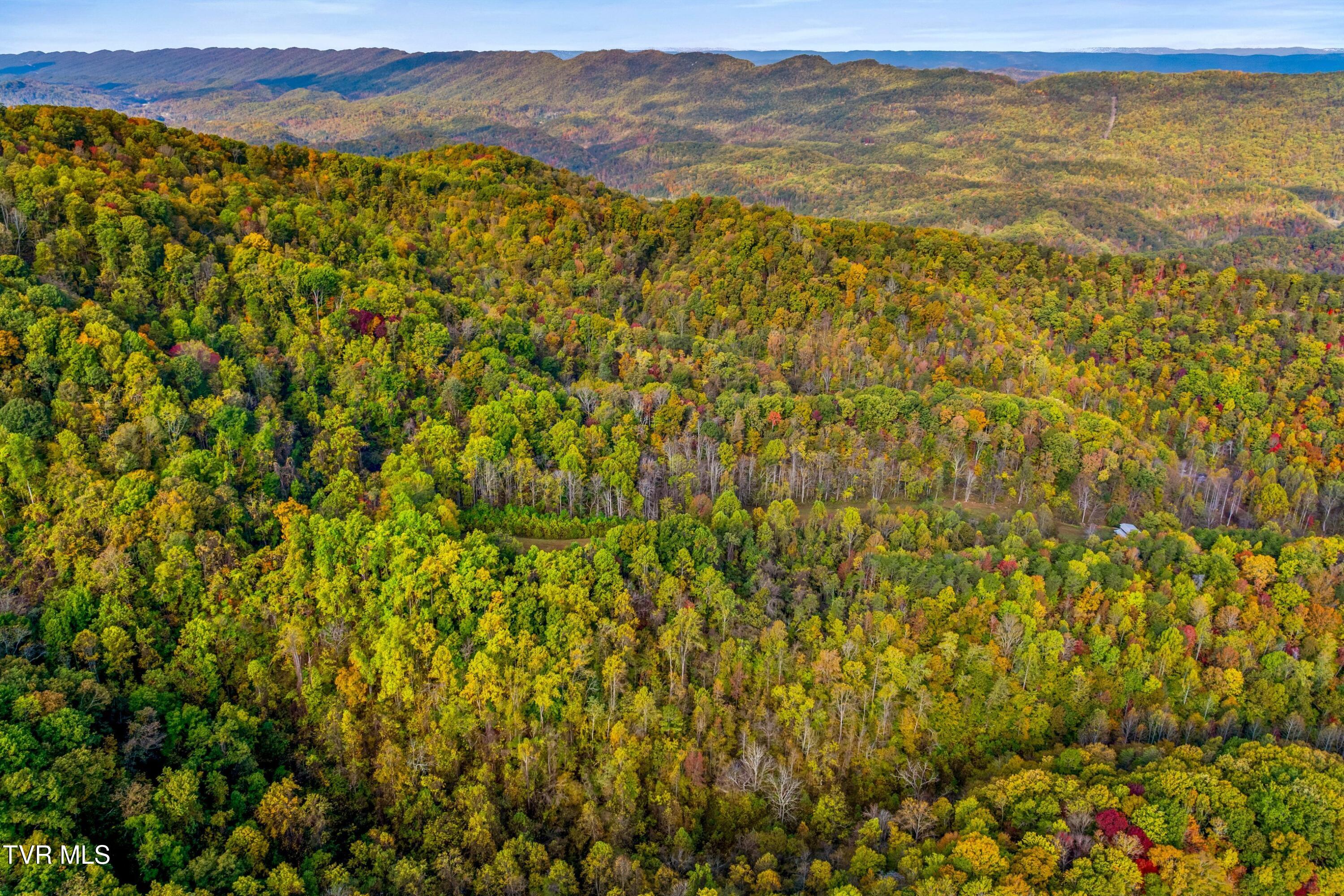 0 Cloud Creek Road Rogersville, TN 37857 - Photo 9 of 18 005-CloudCreekRoad-Rogersville-TN-37857-