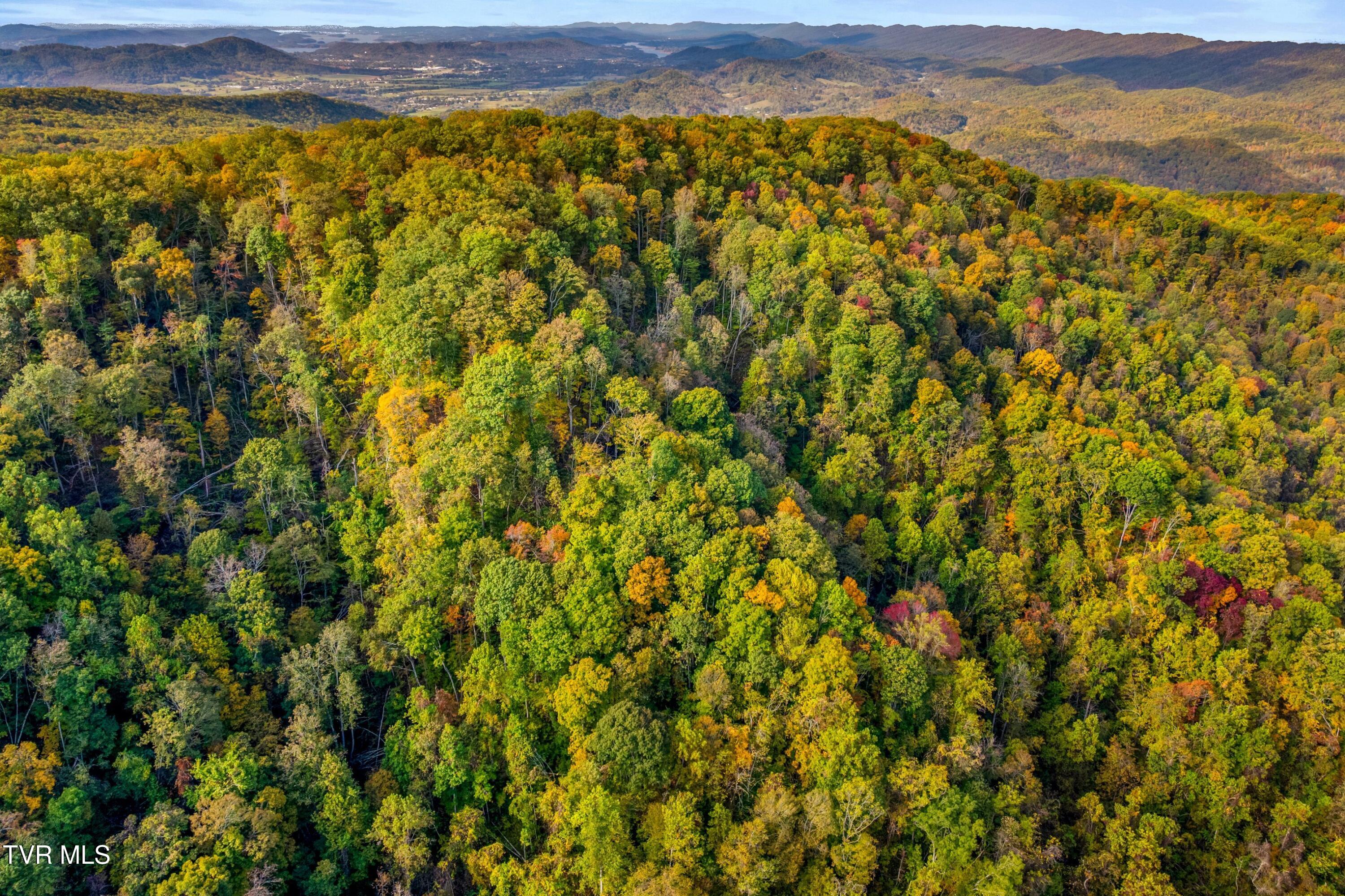 0 Cloud Creek Road Rogersville, TN 37857 - Photo 10 of 18 006-CloudCreekRoad-Rogersville-TN-37857-