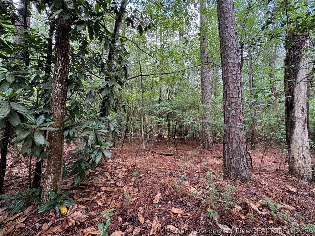 Tbd Myra Road Raeford, NC 28376 - Photo 18 of 23 Lot Interior