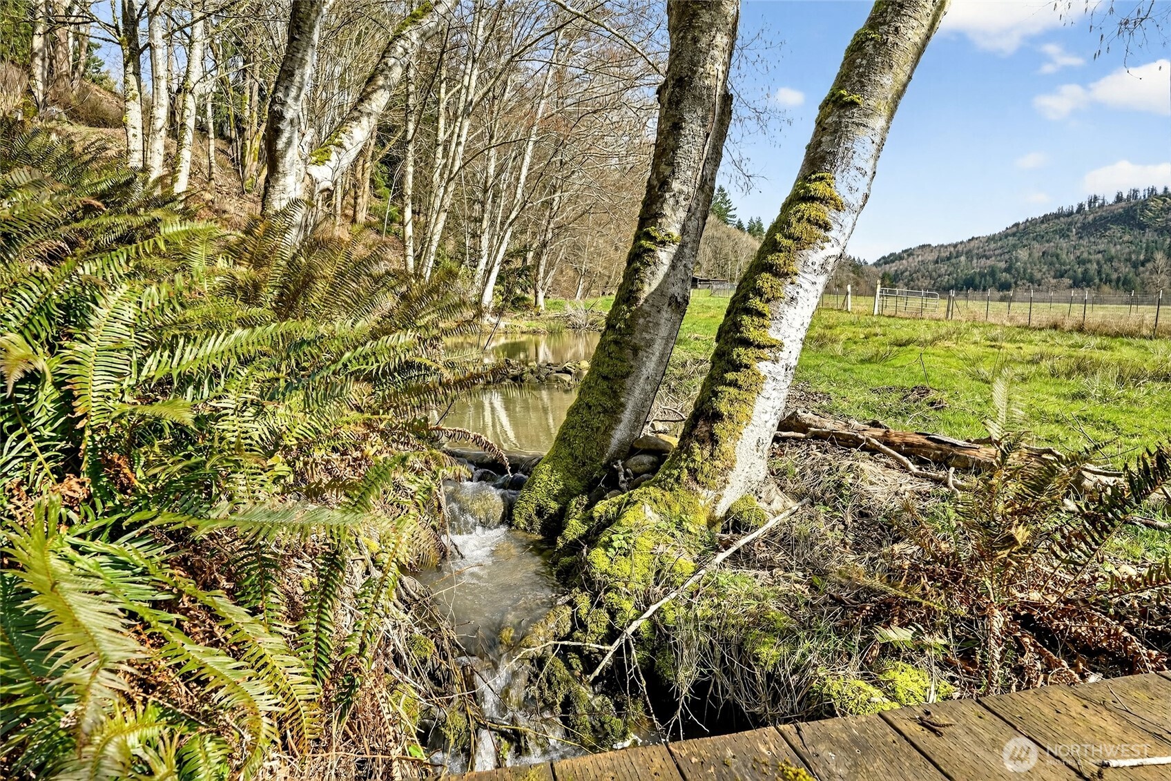 20070 Park Ridge Lane Sedro-Woolley, WA 98284 - Photo 36 of 40