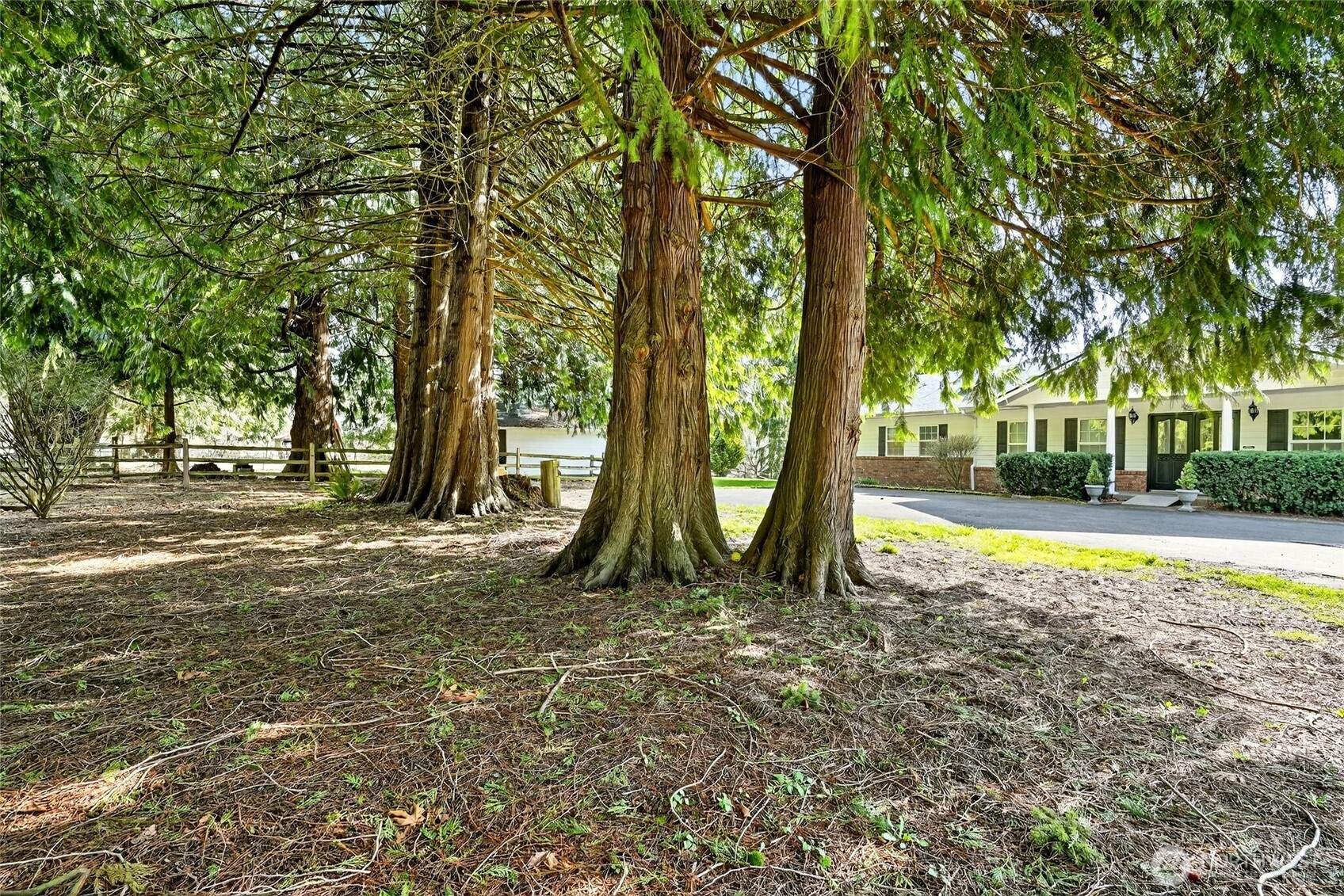 20070 Park Ridge Lane Sedro-Woolley, WA 98284 - Photo 39 of 40 a view of pool with trees