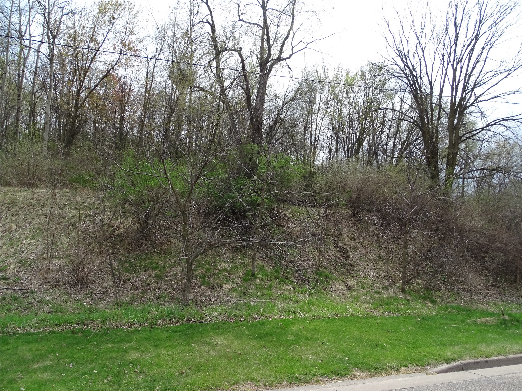 0 Auth Street Durand, WI 54736 - Photo 4 of 4