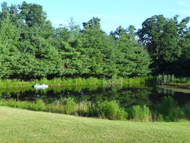 1227 Potato Farm Road Crossville, TN 38571 - Photo 3 of 30 DSC03513
