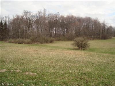 Bye (taylor) Road Negley, OH 44441 - Photo 1 of 1 Gallery Image 1