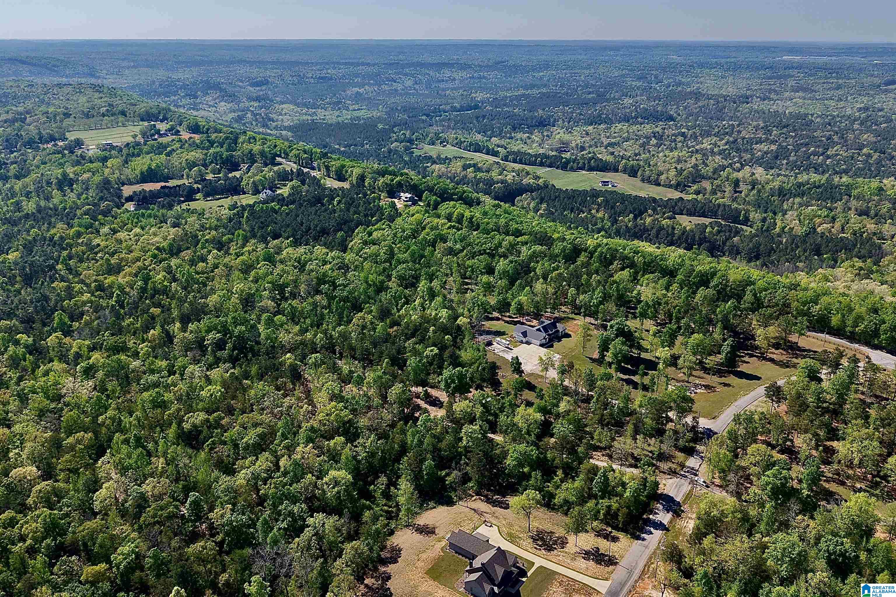 246 Spring Water Farms, Unit 2 Helena, AL 35022 - Photo 17 of 25