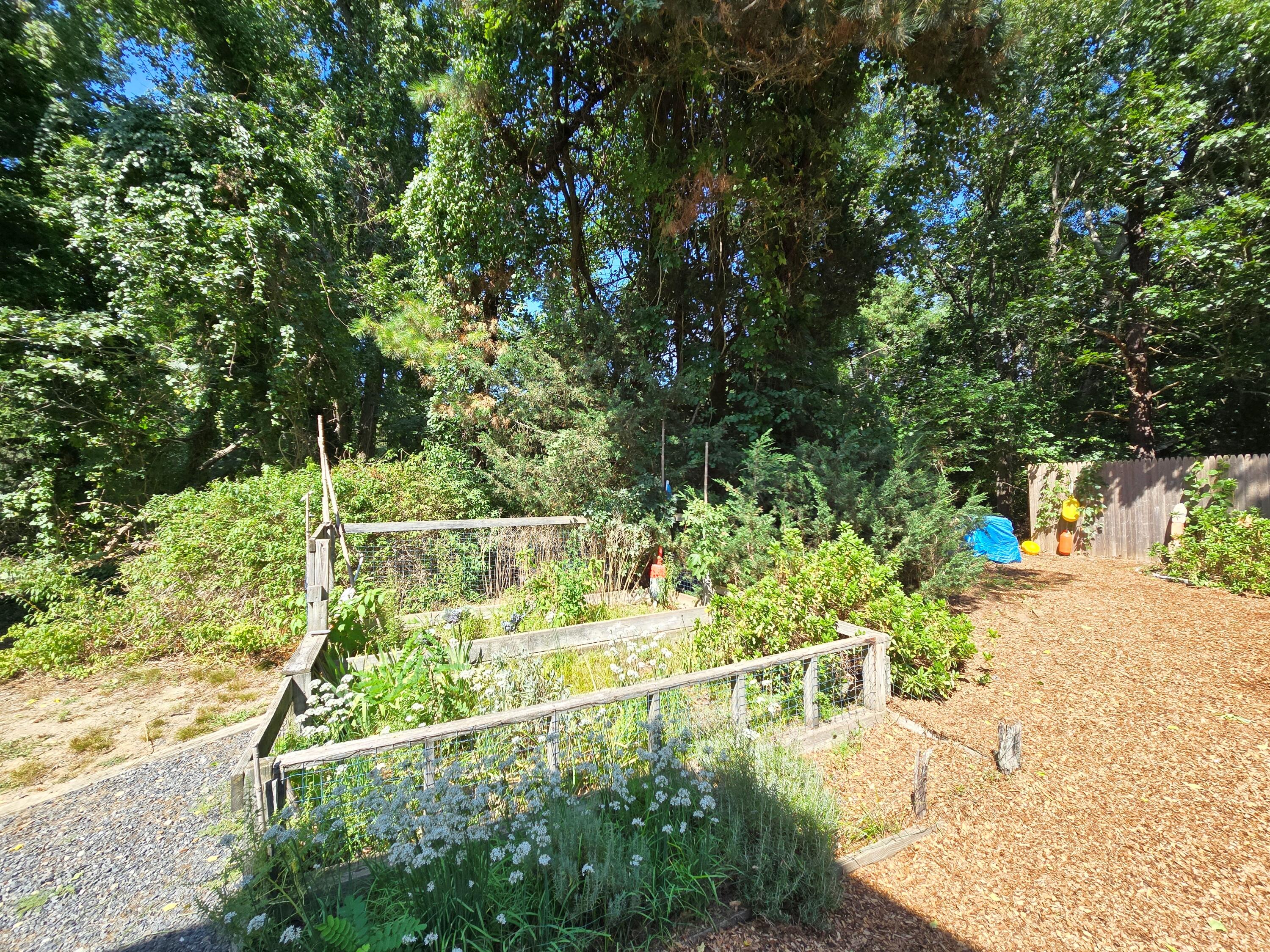 620 Kingsbury Beach Road Eastham, MA 02642 - Photo 11 of 82 20260904_135453 ()