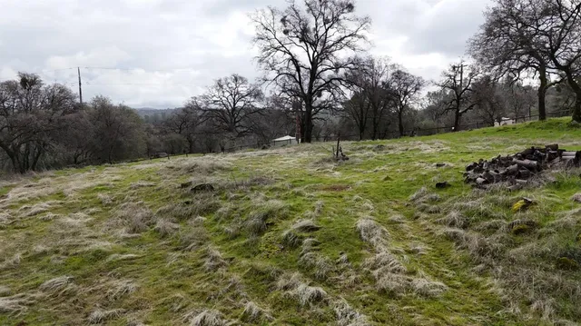a view of a field with trees in the background