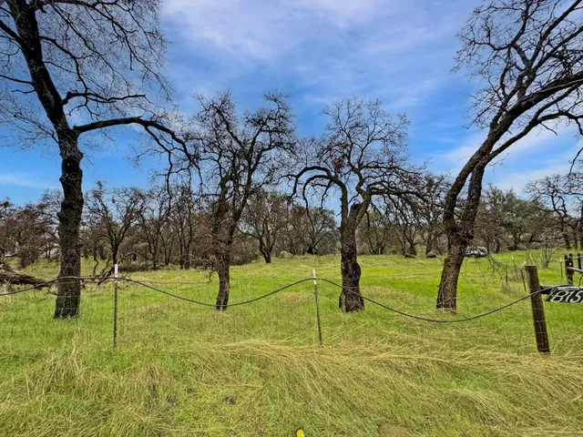 a view of an outdoor space yard and entertaining space