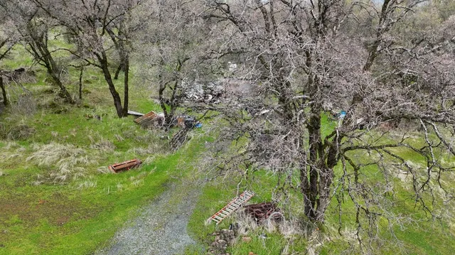 a backyard of a house with lots of green space