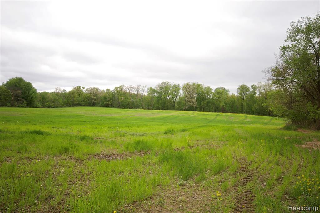 0 Iosco Road Webberville, MI 48836 - Photo 6 of 9