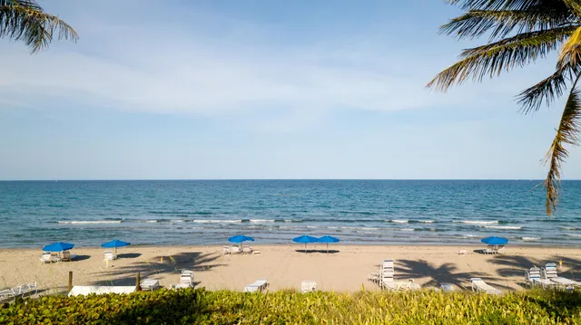 a view of a dining room with furniture a chandelier and wooden floor