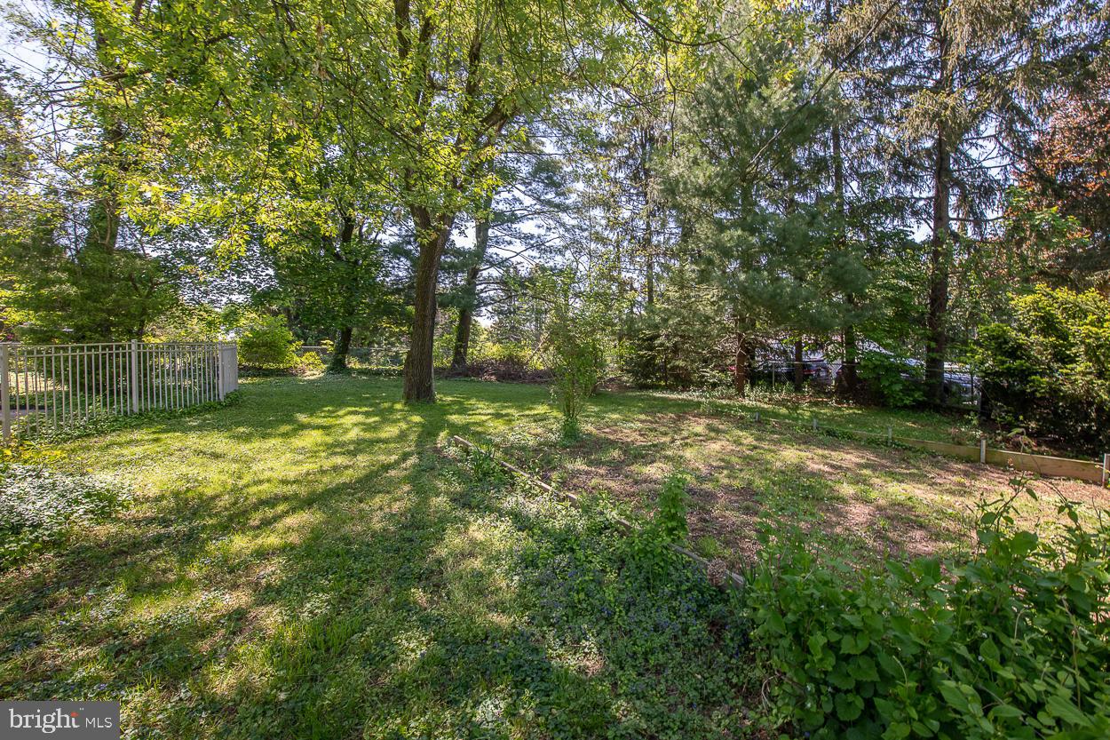 15 Laurel Road Southampton, PA 18966 - Photo 78 of 90 Front yard