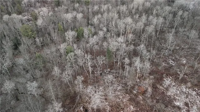 $972,510 | -lot C West Dryden Road, Freeville, NY 13068