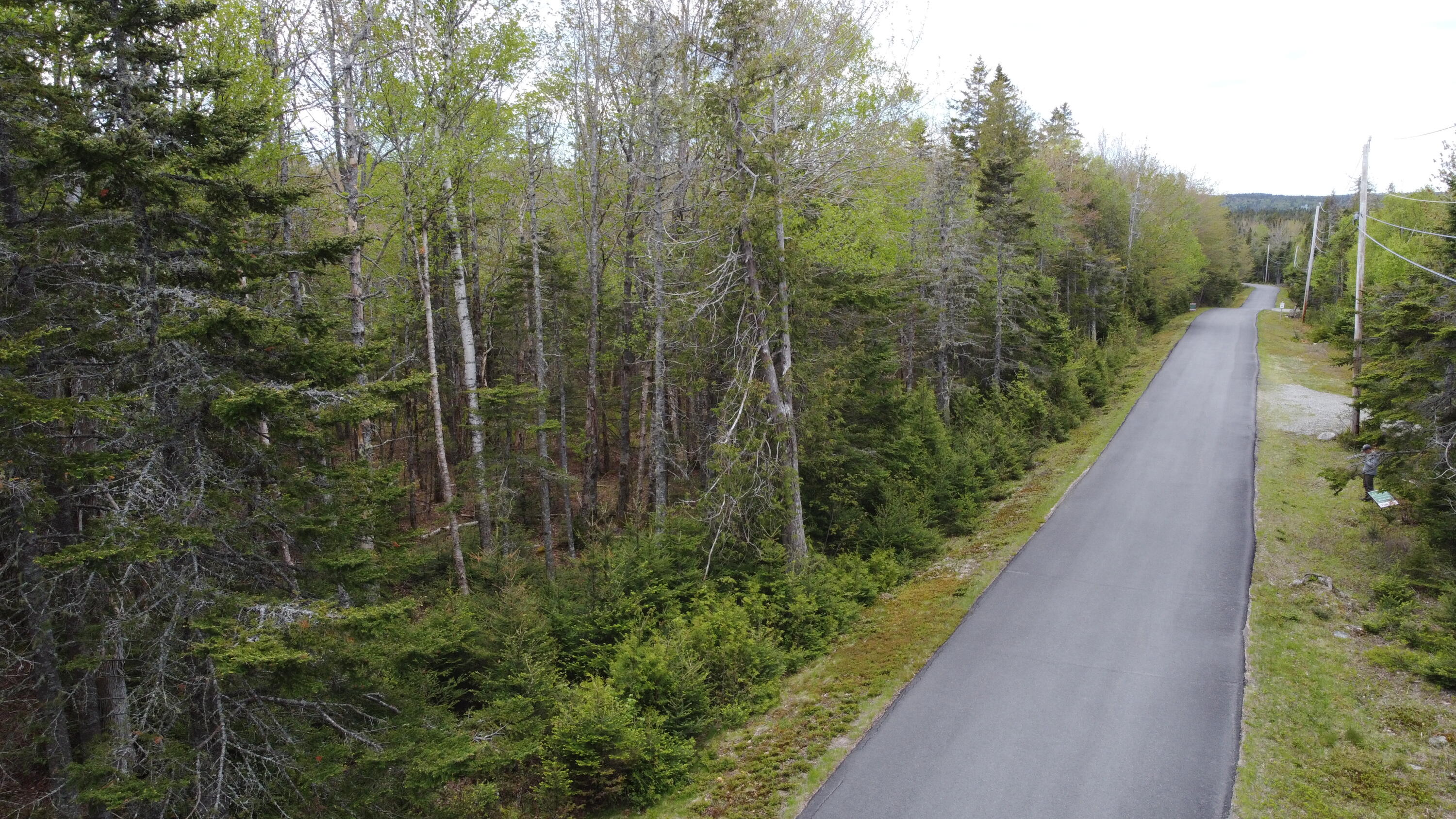 84 Yoho Head Road Machiasport, ME 04655 - Photo 6 of 12 DJI_0184